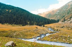 Liebliches Tal zum Wandern in Kirgistan