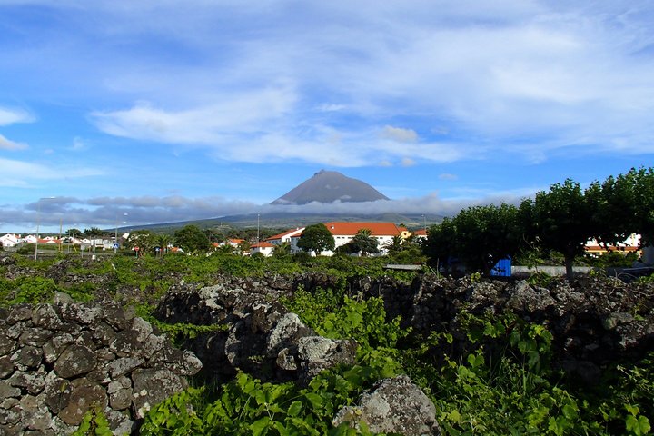Blick über die Insel hin zum Pico auf Madalena