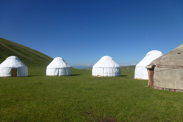 Mehrere weisse Jurten stehen im Camp am Son Köl in Kirgistan