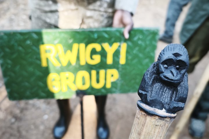 Aufteilung der Gruppe vor dem Gorilla-Tracking