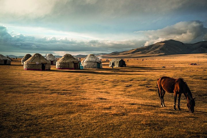 Ein Pferd grast vor einer Jurtensiedlung in Kirgistan