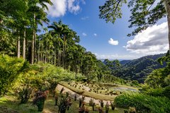 Jardin de Balata auf Martinique
