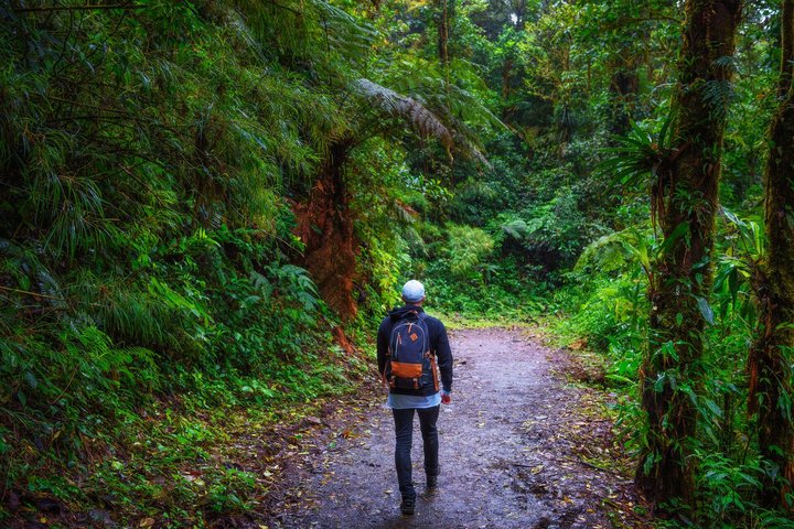 Wanderer im Nebelwald von Monteverde in Costa Rica