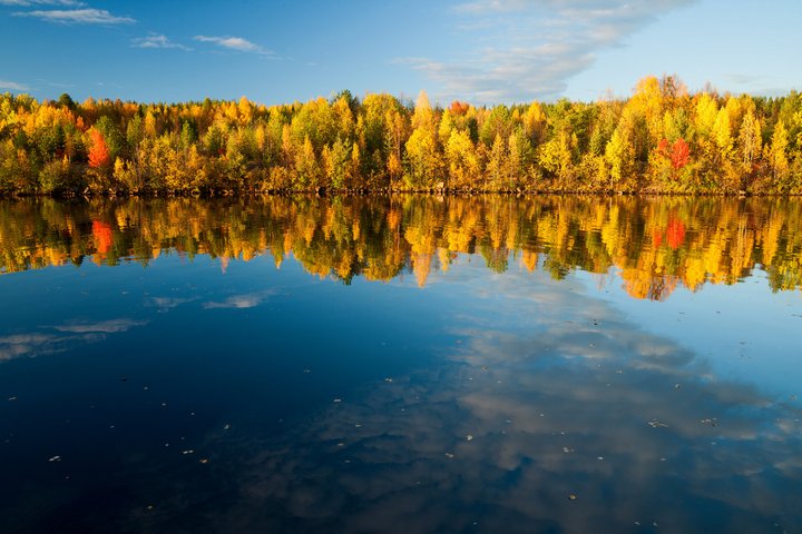 Ruska – farbenfroher Herbst in Lappland