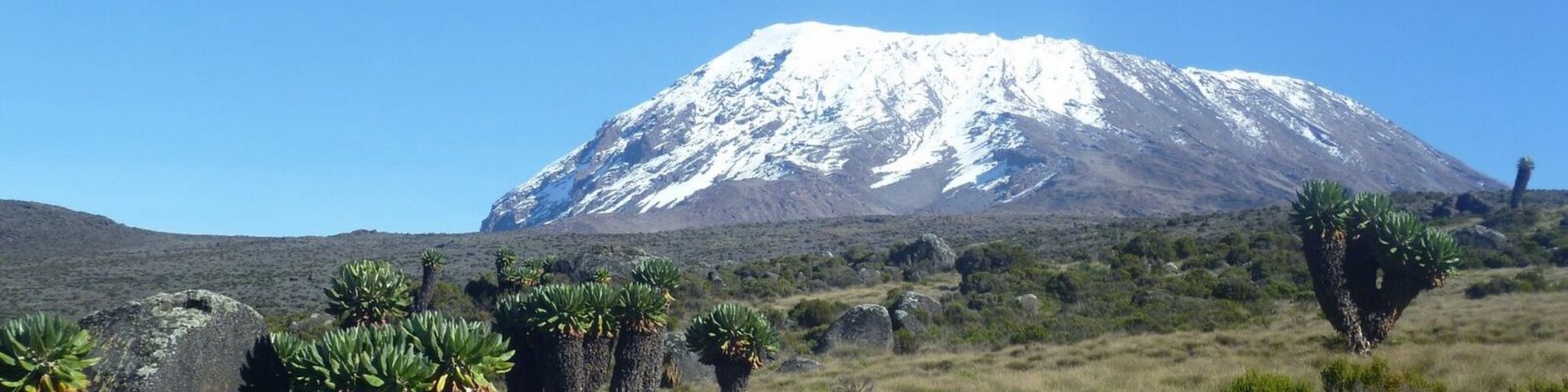 Kilimanjaro auf der Marangu-Route