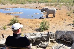 Tourist beobachtet einen Elefanten beim Wasserloch im Etosha Nationalpark