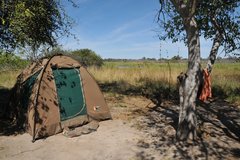 Zelt in der Natur von Botswana, geschützt von einigen Bäumen