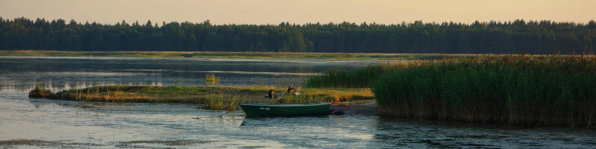 Kleiner Bootssteg in Estland