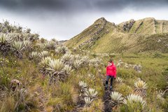 Wanderin in der Páramo-Landschaft im Parque Nacional Natural Chingaza in Kolumbien