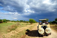 Touristen blicken aus dem Dachsafari de Safari-Jeeps
