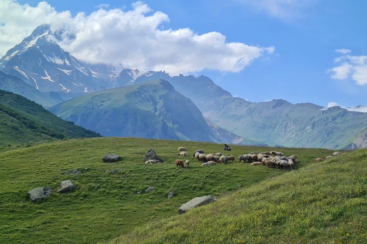 Sicht auf den Berg Kasbek in Georgien