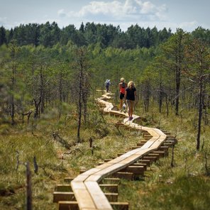 Estland für Natur- und Tierliebhaber*innen Estland für Natur- und Tierliebhaber*innen