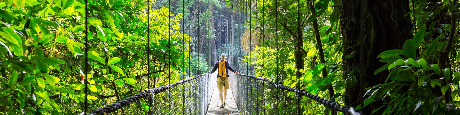 Hängebrücke in Costa Rica Reisender auf einer Hängebrücke in Costa Rica