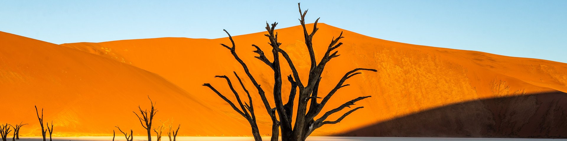 Im Sonnenschein rot leuchtende Dünen der Namib-Wüste in Namibia