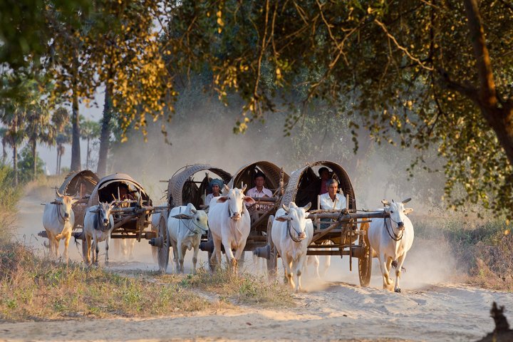 Ochsenkarren in Myanmar