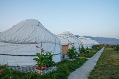 Mehrere weisse Jurten im Camp in Tamga, Kirgistan