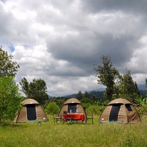 Abenteuer Wildnis – Camping-Safari