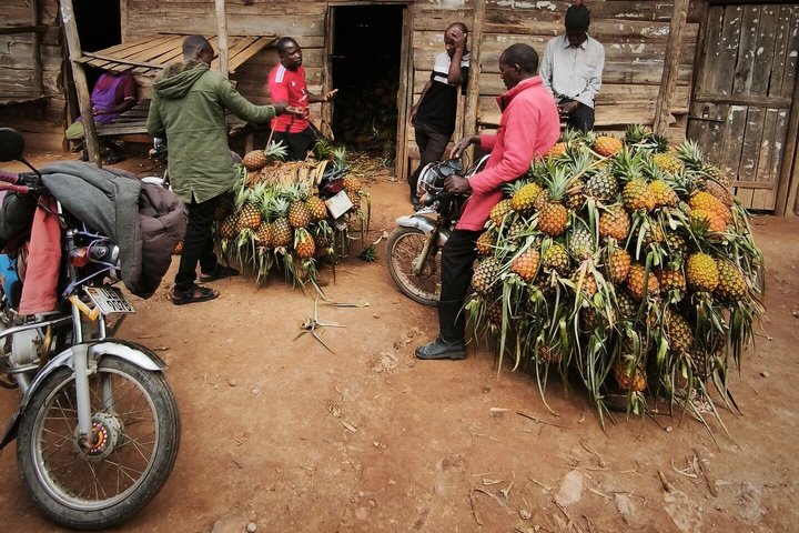 Ananastransport in Uganda Ananastransport in Uganda
