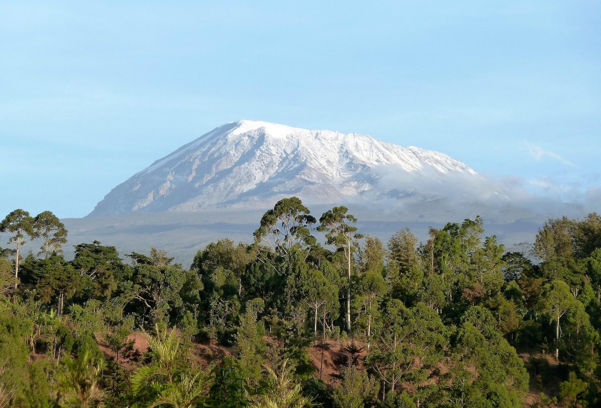 Der Kilimanjaro – das Dach Afrikas
