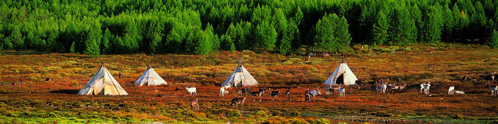 Idyllisch gelegene Tipi Camps der Rentiernomad*innen