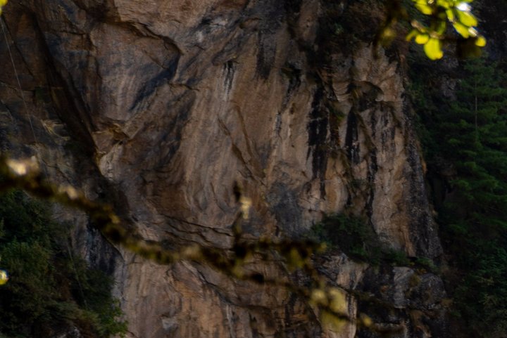 Blick auf Taktsang - das Tigernestkloster in Bhutan