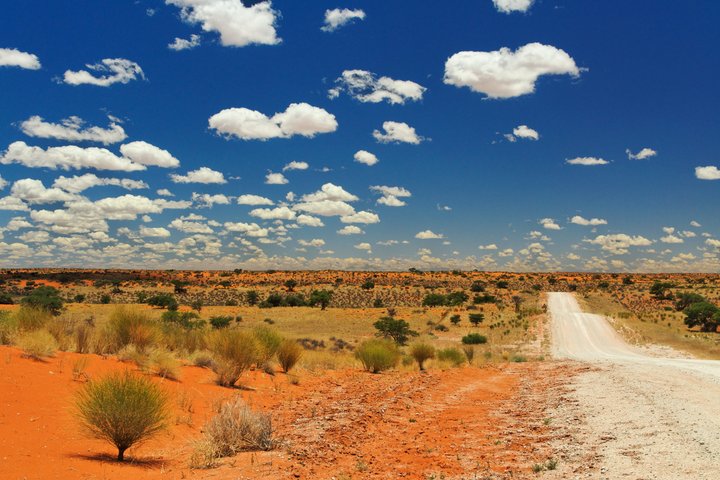 Strasse durch die Kalahari-Wüste mit orangem Sand