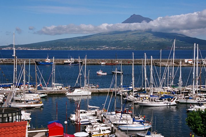 Hafen mit vielen kleinen Booten in Horta auf Faial
