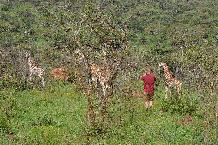 Walkingsafari im Mburo Nationalpark in Uganda