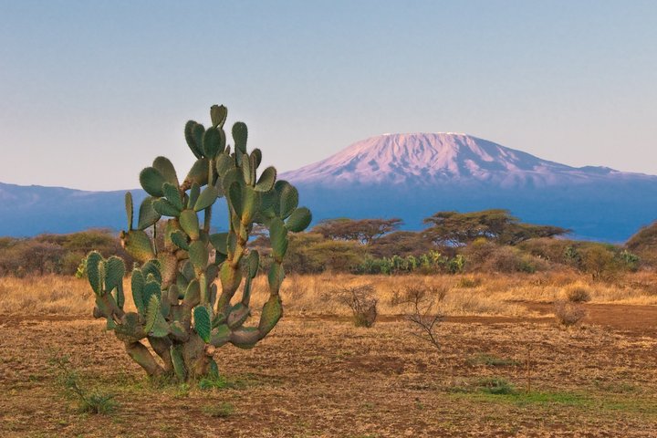 Der Kilimanjaro im Licht des Sonnenaufgangs