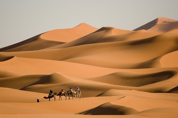 Eine Karawane zieht durch die Sanddünen in der Wüste von Marokko