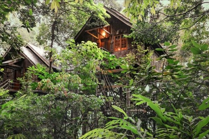 Baumhaus im Dschungel von Borneo