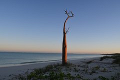 Sonnenuntergang am Strand von Ambatomilo