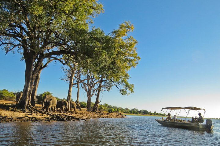 Bootstour auf dem Chobe Fluss in Botswana