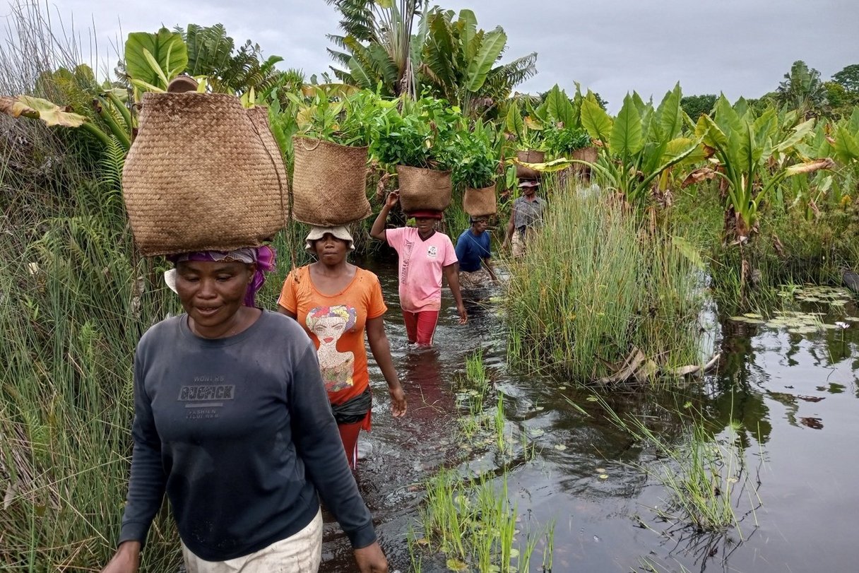 Masoala Naturschutzprojekt in Madagaskar