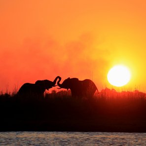 Die Elfenbein-Route – Auserlesene Lodge-Safari Die Elfenbein-Route – Auserlesene Lodge-Safari