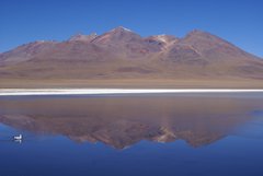 Ein Berg spiegelt sich in einem Salzsee in Bolivien