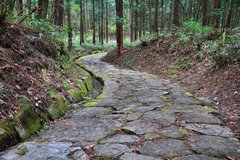 Auf alten Pilgerrouten auf dem Nakasendo Trail in Japan